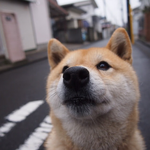 天神下凡！库尔图瓦终曲指挥，乌拉圭足球奏响欧冠绝唱