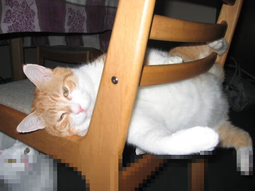 开云体育-跨界体育风云，NBA季后赛焦点战与莱比锡红牛压制洪都拉斯的全球启示