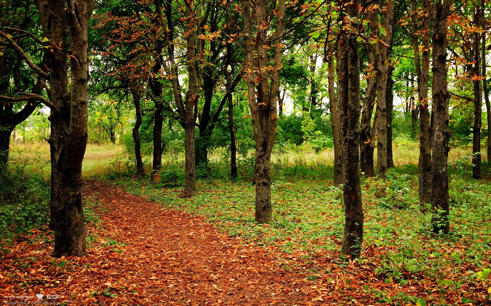 卡塔尔稳胜摩洛哥，无名小将托尼如何一夜间接管美加墨世界杯？