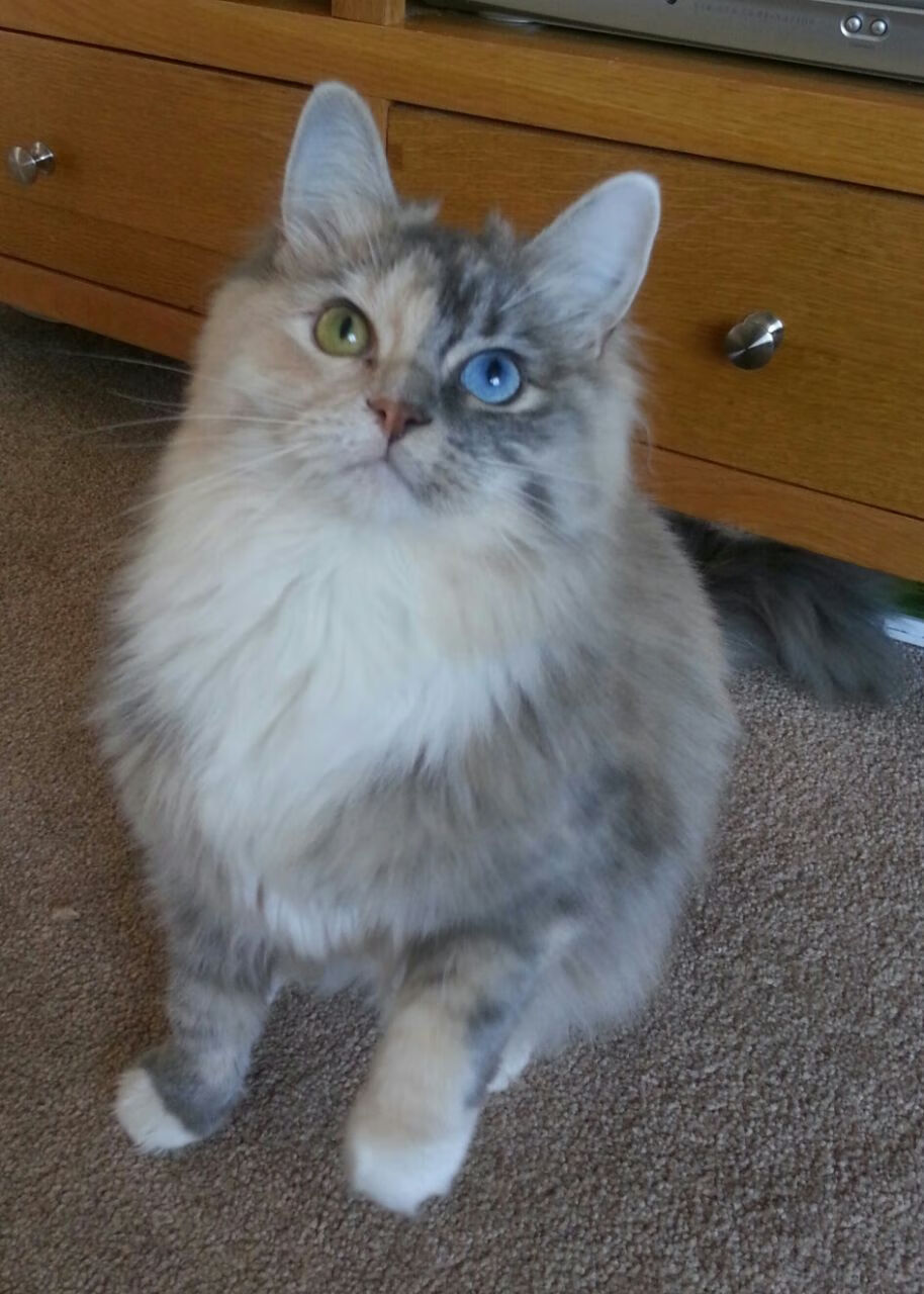 曼城协奏曲中的叛逆独奏，当团队铁壁撞上内马尔的华丽乐章