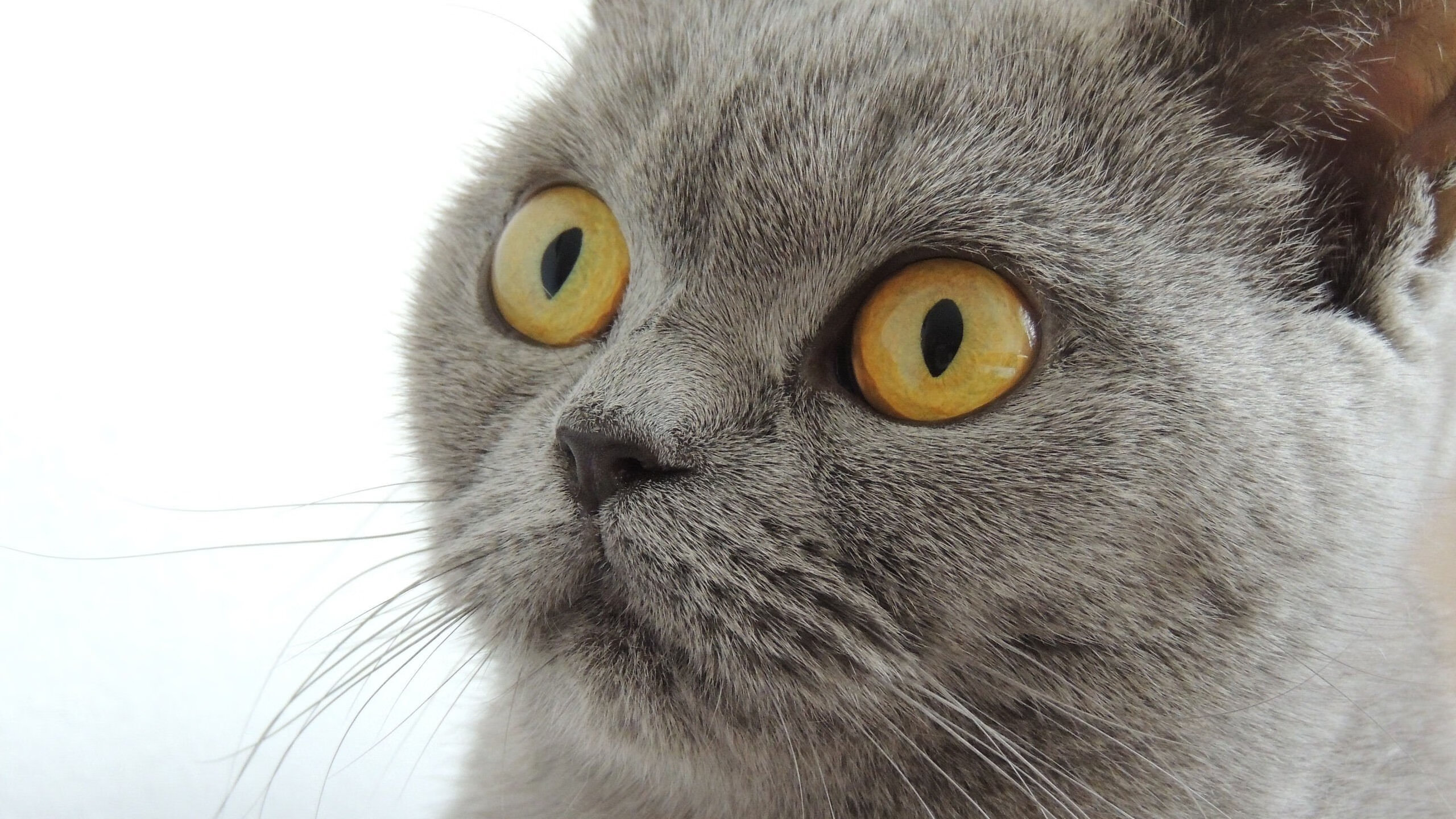 三分雨淹没费城！乔治独揽37分上演关键先生封神之战