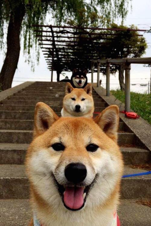 极速与意志，伊萨克如何在F1揭幕战的深夜压力熔炉中淬炼成钢