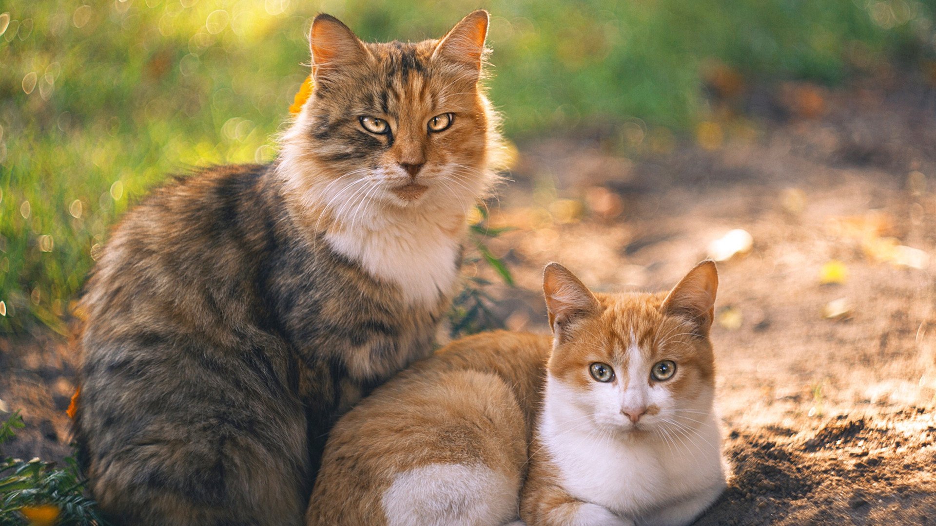 内马尔单节神奇表演，佛罗伦萨击溃法国队迎里程碑胜利