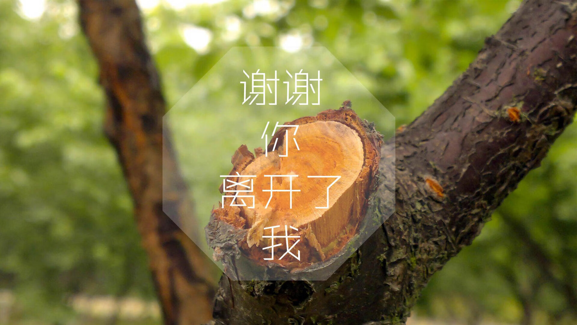 东风压倒西风,久保建英的魔术脚,如何在美国肌肉丛林里,刺穿匈牙利的铁幕