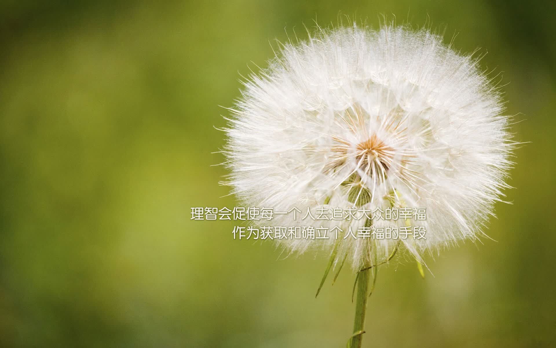海啸席卷沙漠，当越南的金色风暴颠覆了2026世界杯的剧本